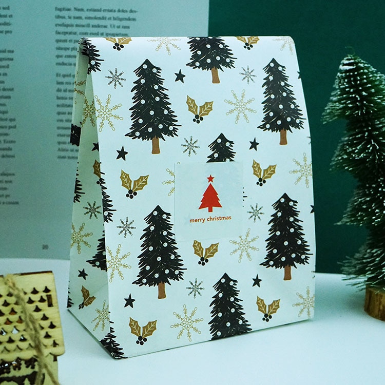Snowflakes Christmas Gift Box 6 Pcs Set