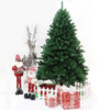 Various Sized Traditional Green Colored Christmas Tree